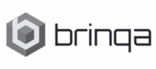 Brinqa, Company Logo, Executive Search Placement.