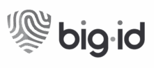 Big ID, Company Logo, Executive Search Placement.