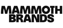 Mammoth Company Logo Executive Search Placement.