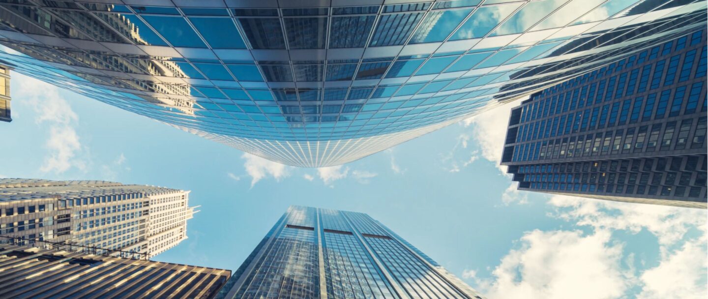 True's Mid-Large Cap Public Practice Background Image.