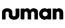 Numan Executive Search Placement Company Logo.