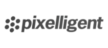 Pixelligent Company Logo