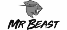 MrBeast Company Logo Executive Search Placement.